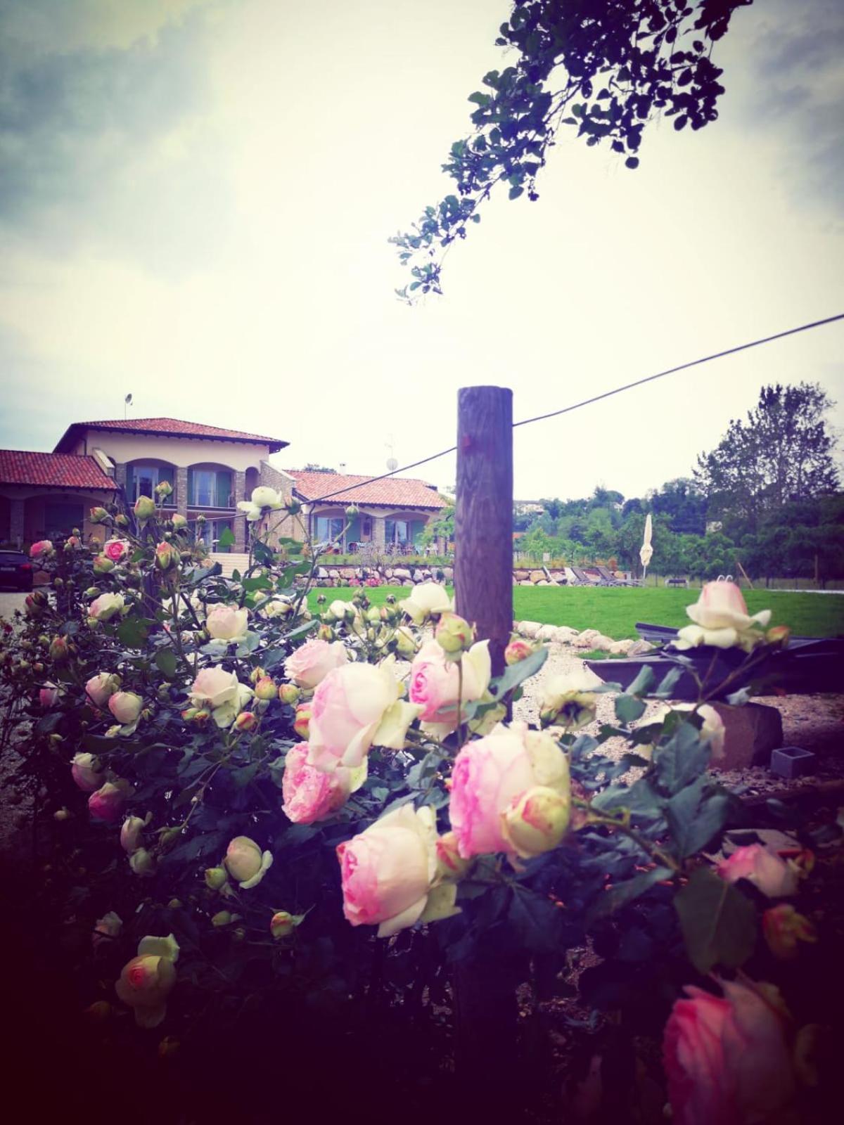 Orchidea Del Garda Rooms & Apartments Peschiera del Garda Ngoại thất bức ảnh